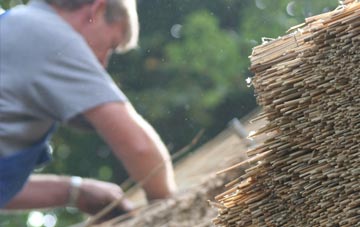 professional The Hook thatchers